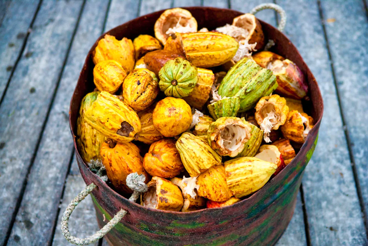 Flashback: Belize 2010 Photoblog