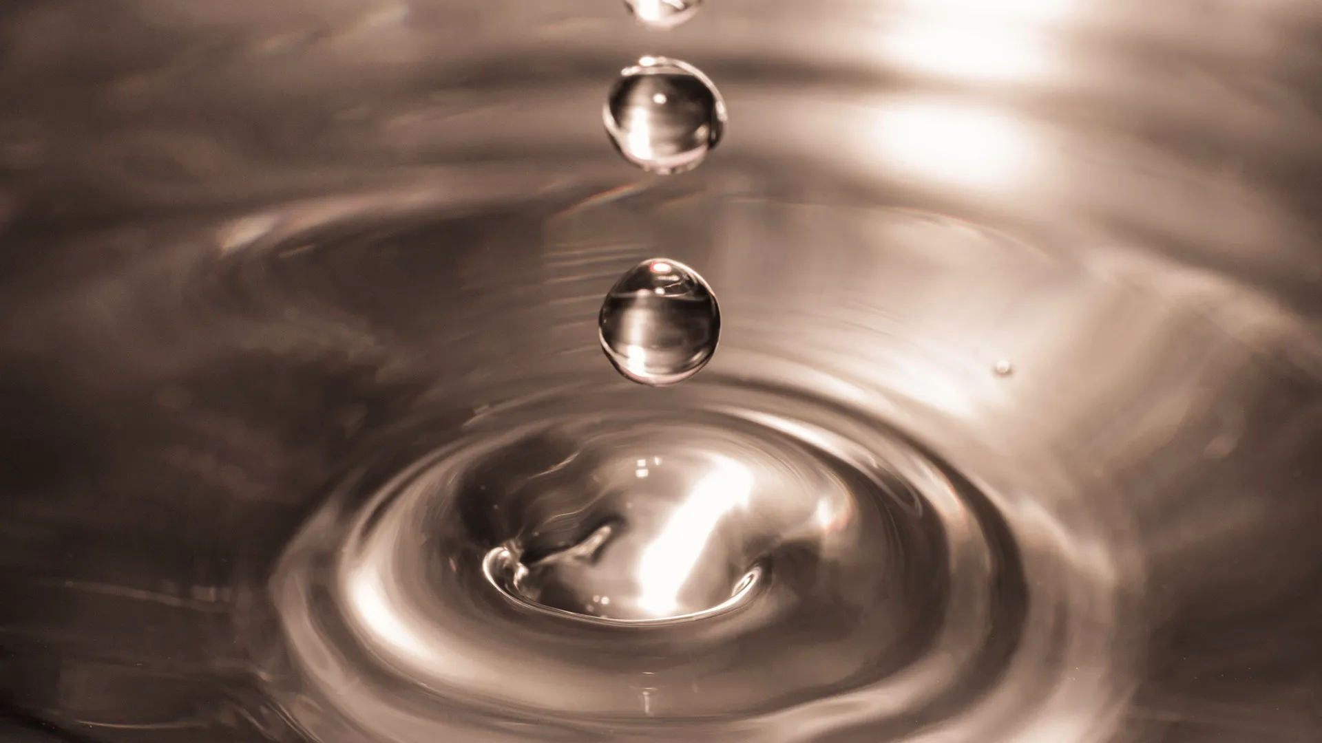 Editing Photos for Maximum Impact