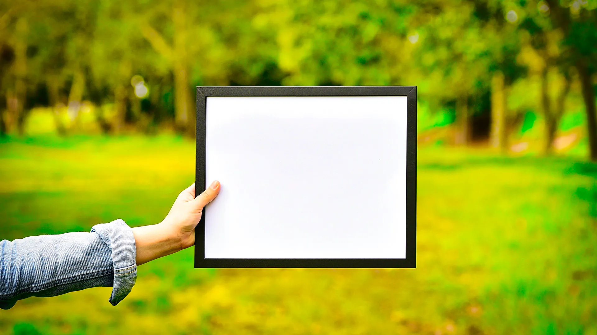 Memeber [sic] Roundup