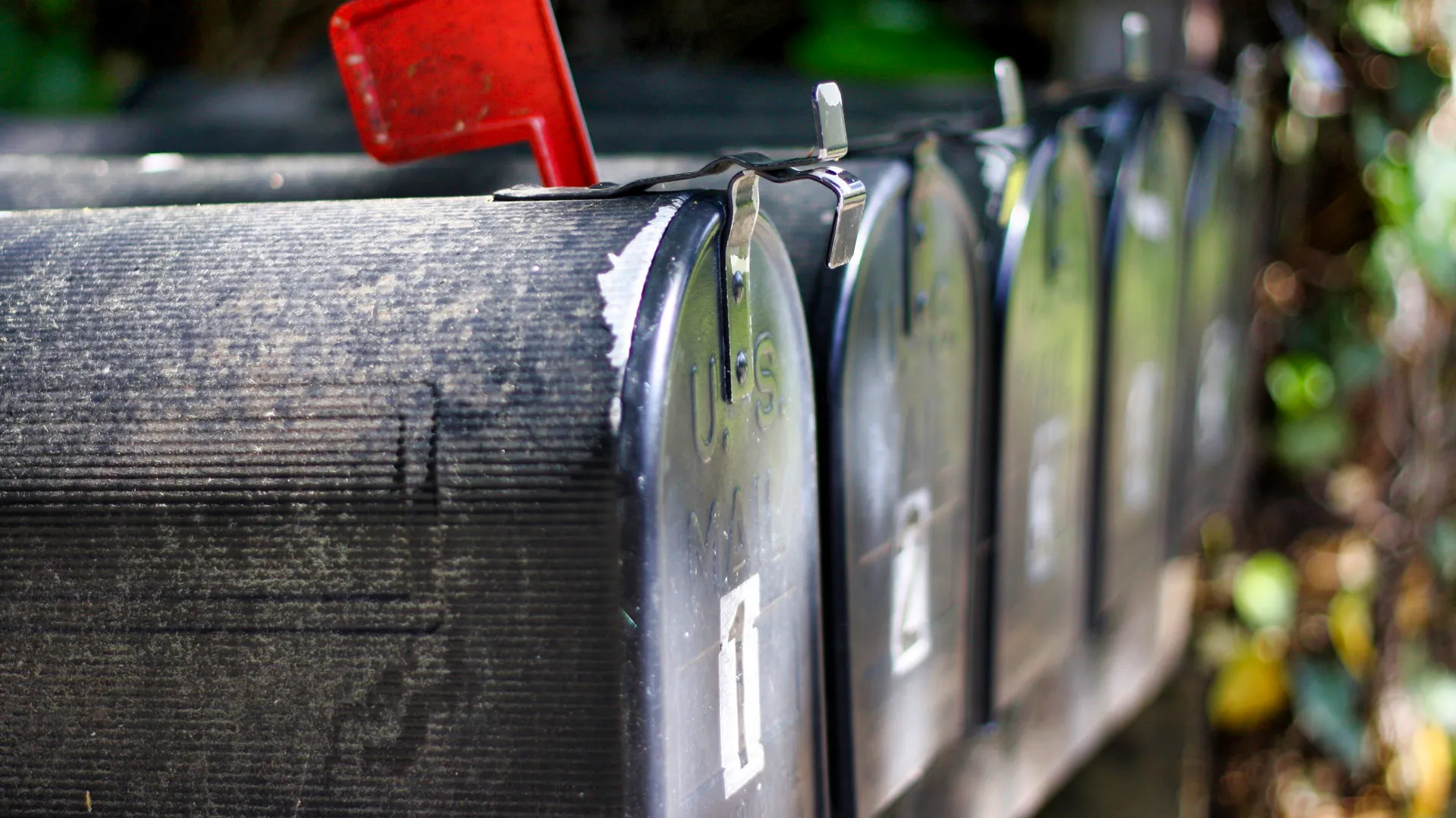 ChocolateLife Member Update – March 2021