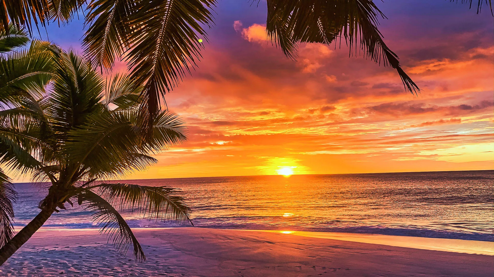 End of Summer ’21 Member Newsletter