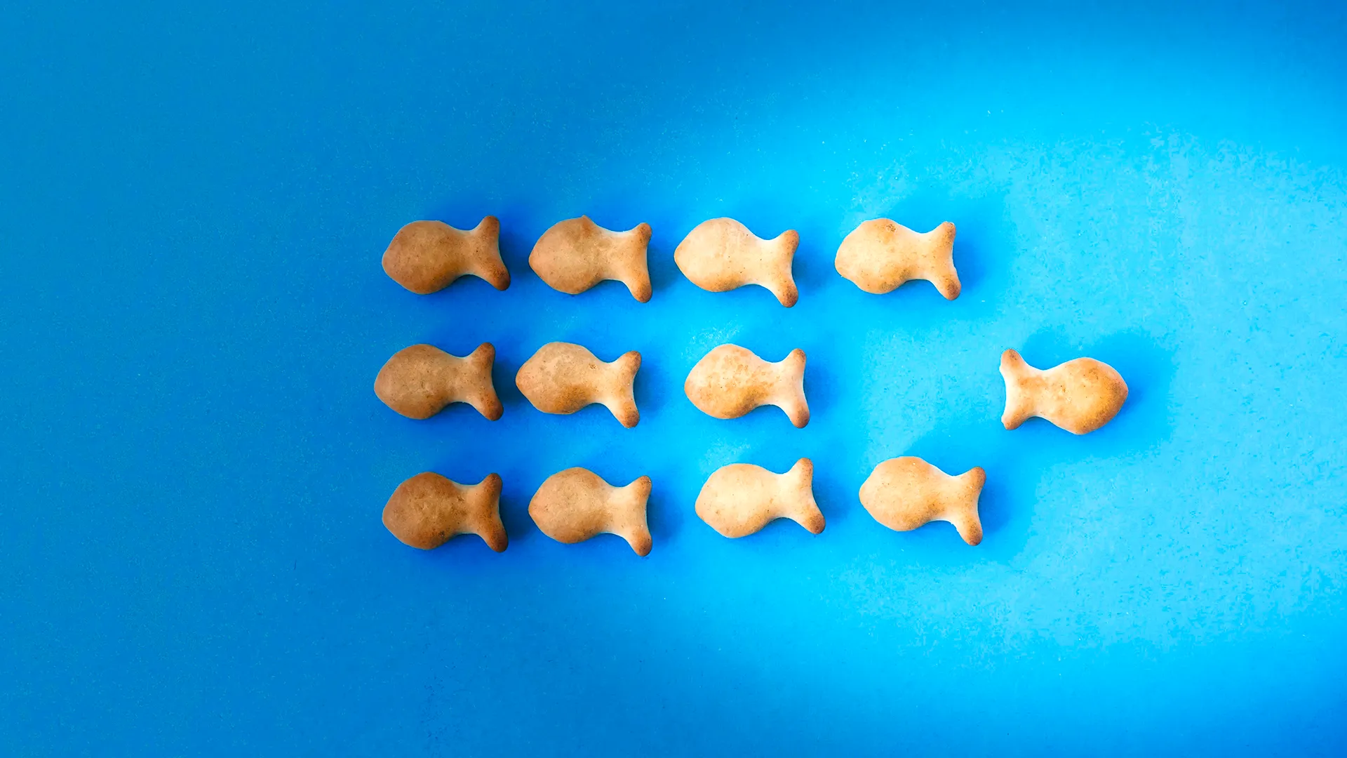 TheChocolateLife::LIVE – Innovation, Trends, Awards