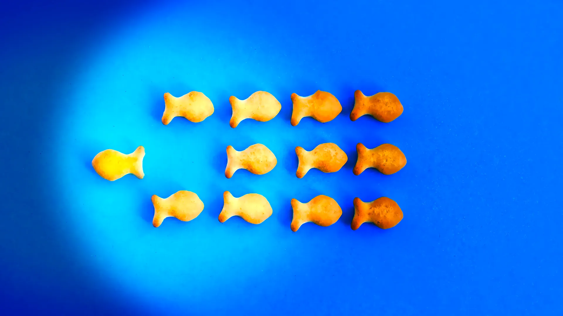 Updated! TheChocolateLife::LIVE – Innovation Part 2: 2022 Summer Fancy Food Show Roundup