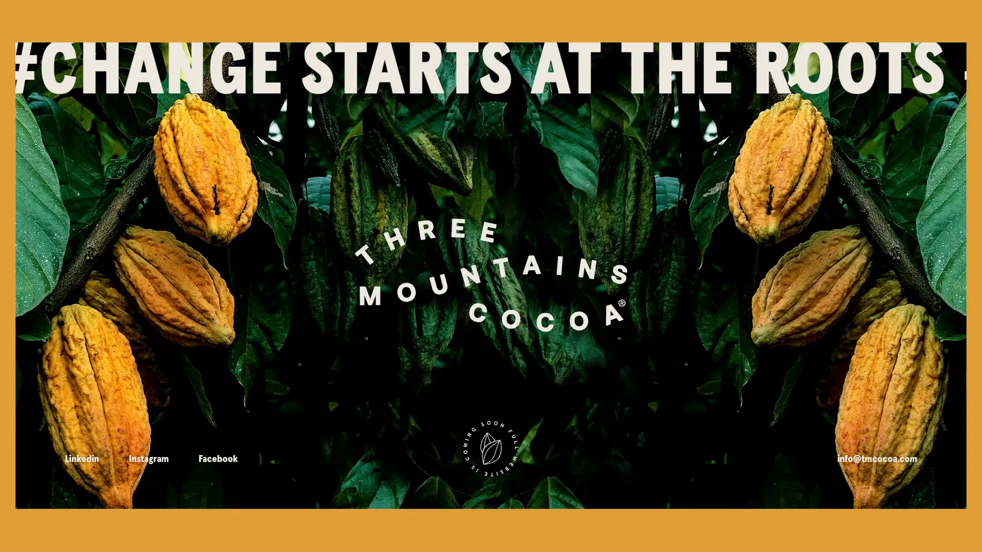 TheChocolateLife::LIVE – Leslie Agyare / Three Mountains Cocoa