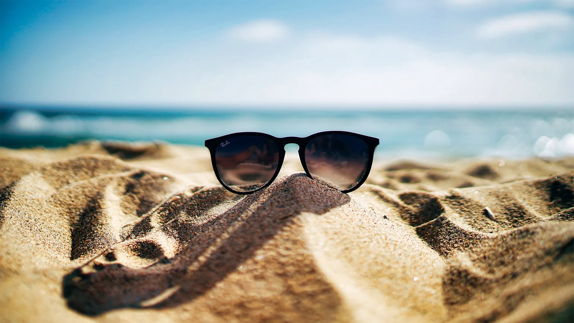 August Member Newsletter