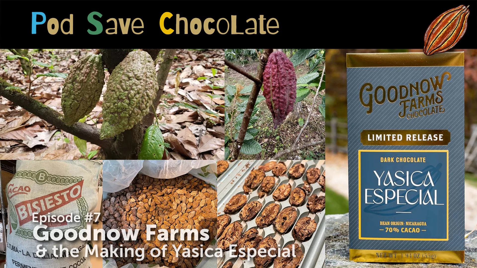 Goodnow Farms’ Yasica Especial | #PodSaveChocolate