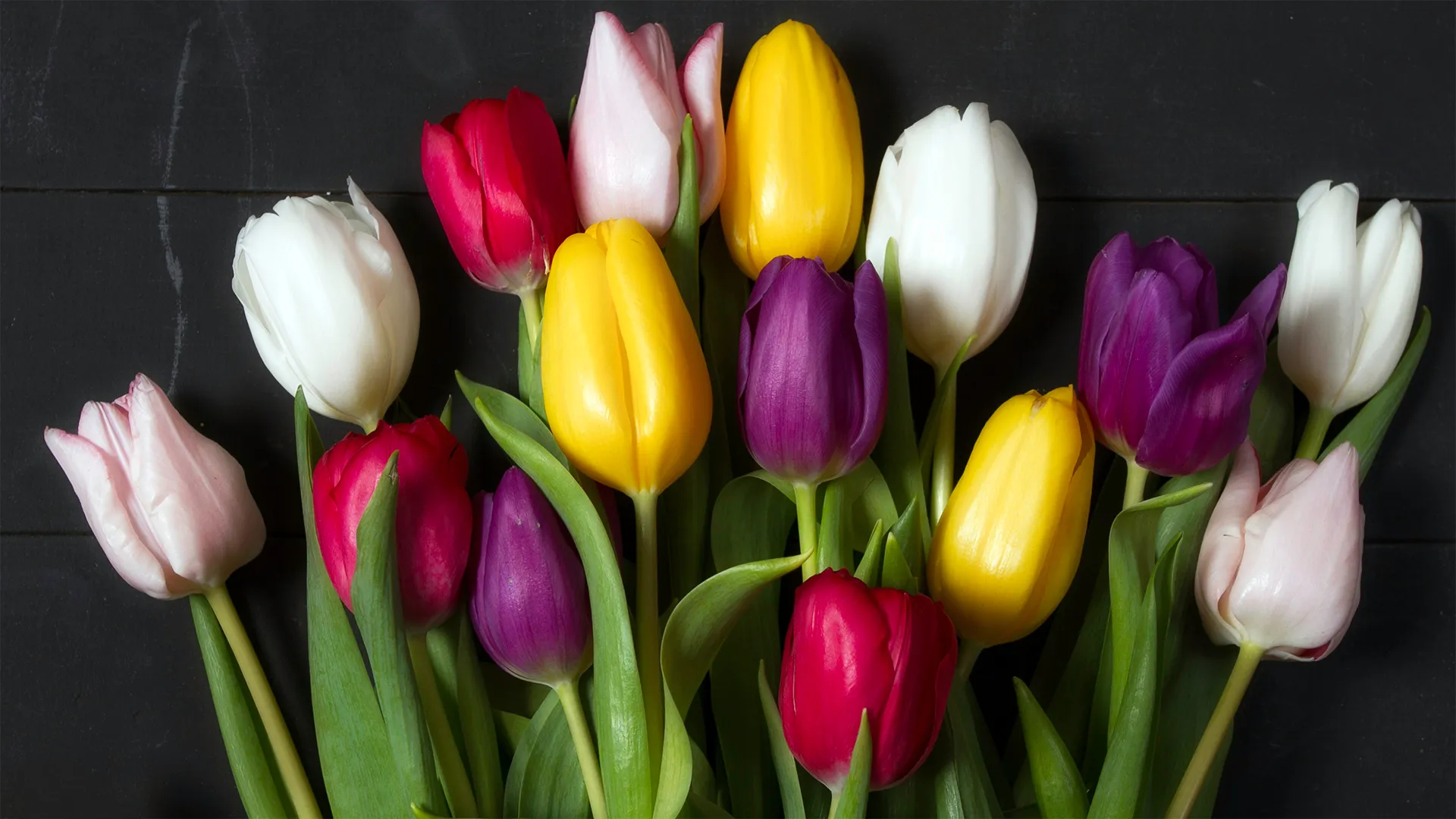 May 2024 Member Newsletter