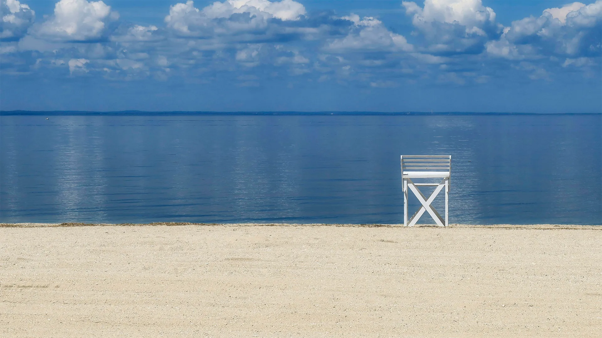 Updated: June 2024 Member Newsletter