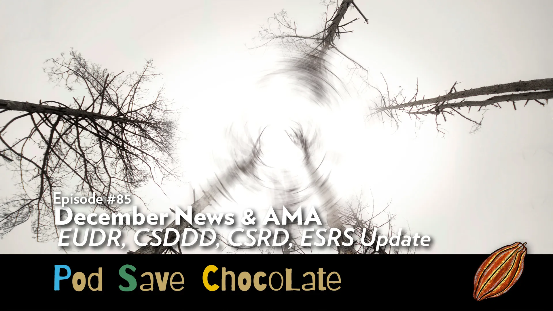 December News/AMA – EUDR et al Update | #PodSaveChocolate Ep85