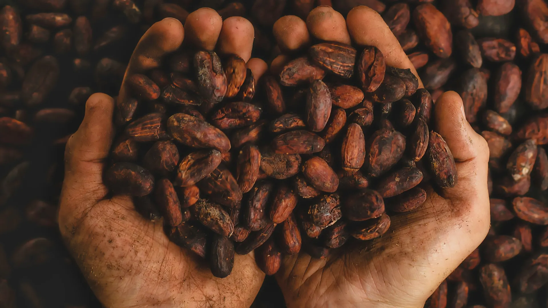 April 2025 Special Membership Offer