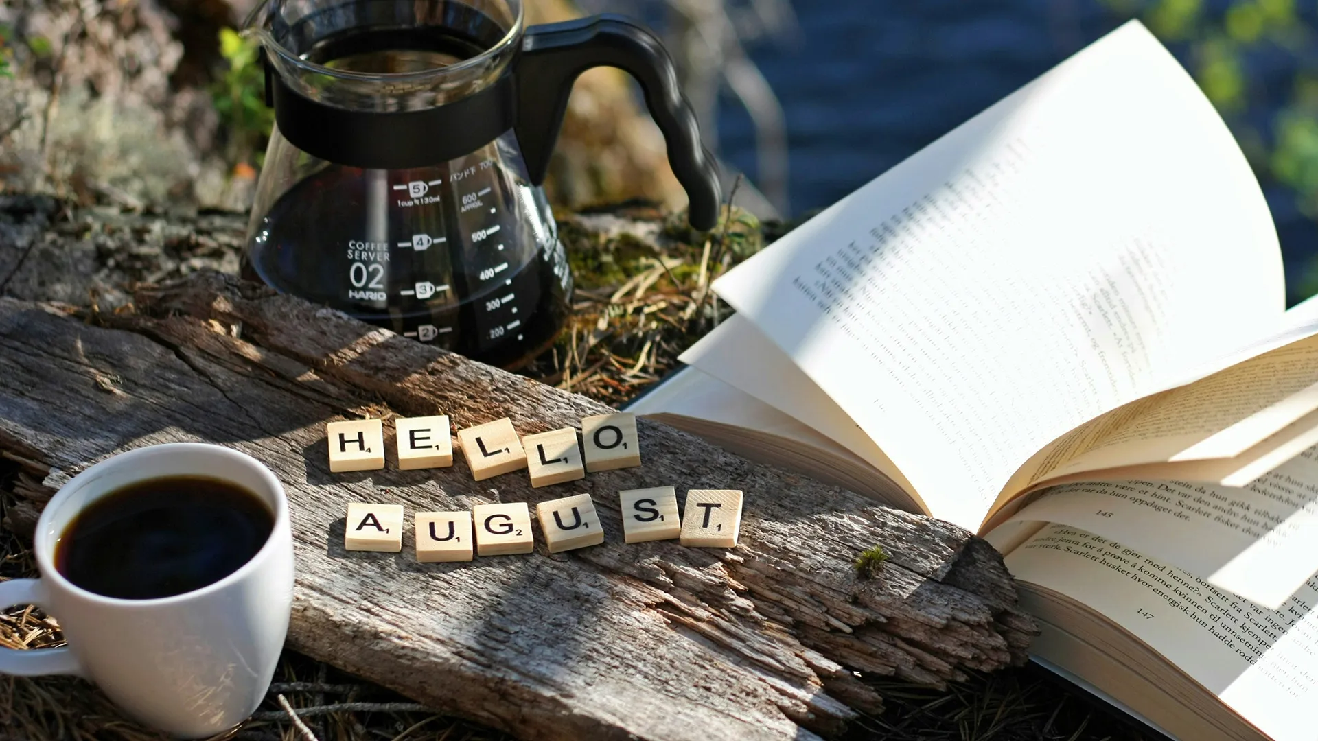 August 2025 Member Newsletter