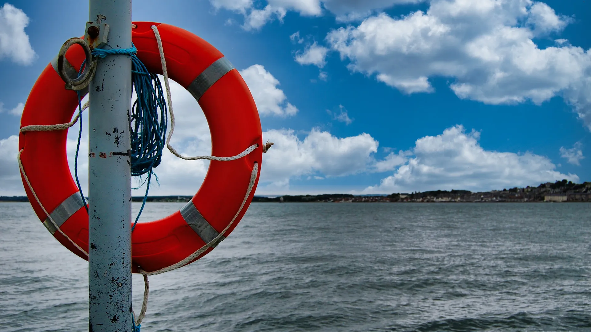 AskTCL: Is It Possible to Rescue Seized Chocolate?