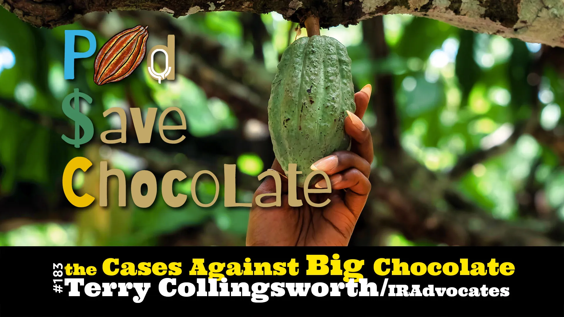 The Continuing Cases Against Big Chocolate | #PSC 183