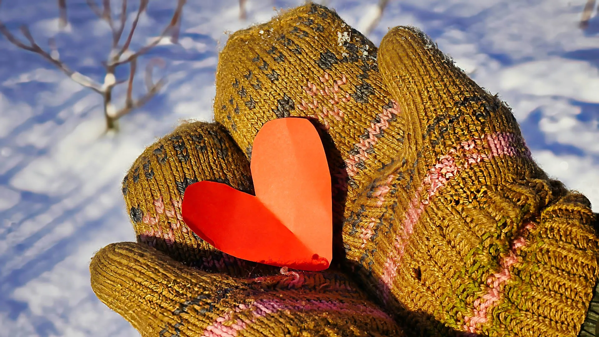 February 2026 Newsletter – Part 2