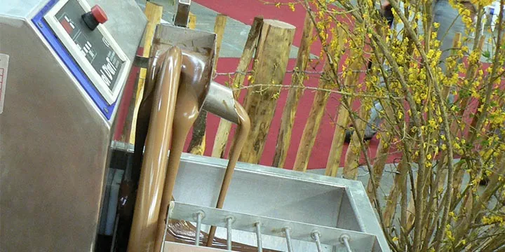 Reading List: The Science of Chocolate