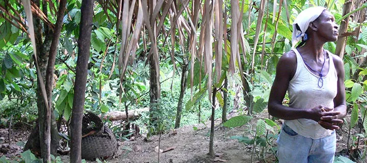 Fair Trade: Does It Help Poor Workers?