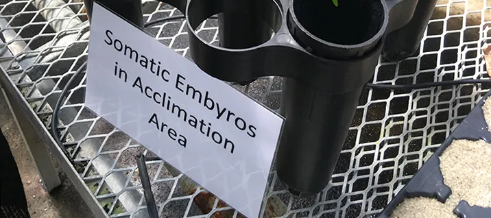 Frontiers of Science in Cacao Symposium