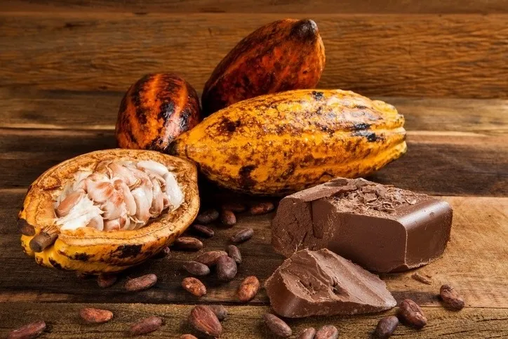 Child labor in cocoa lawsuits filed against Hershey and Mars