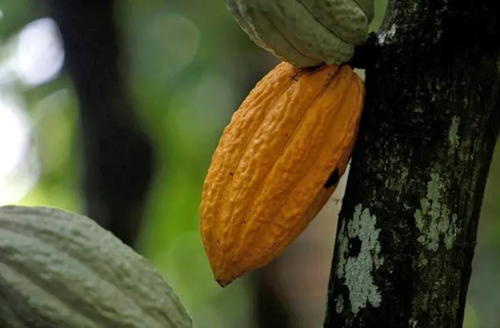 Sustainability in the News