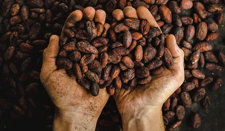 Cocoa has a poverty problem. How can you help?