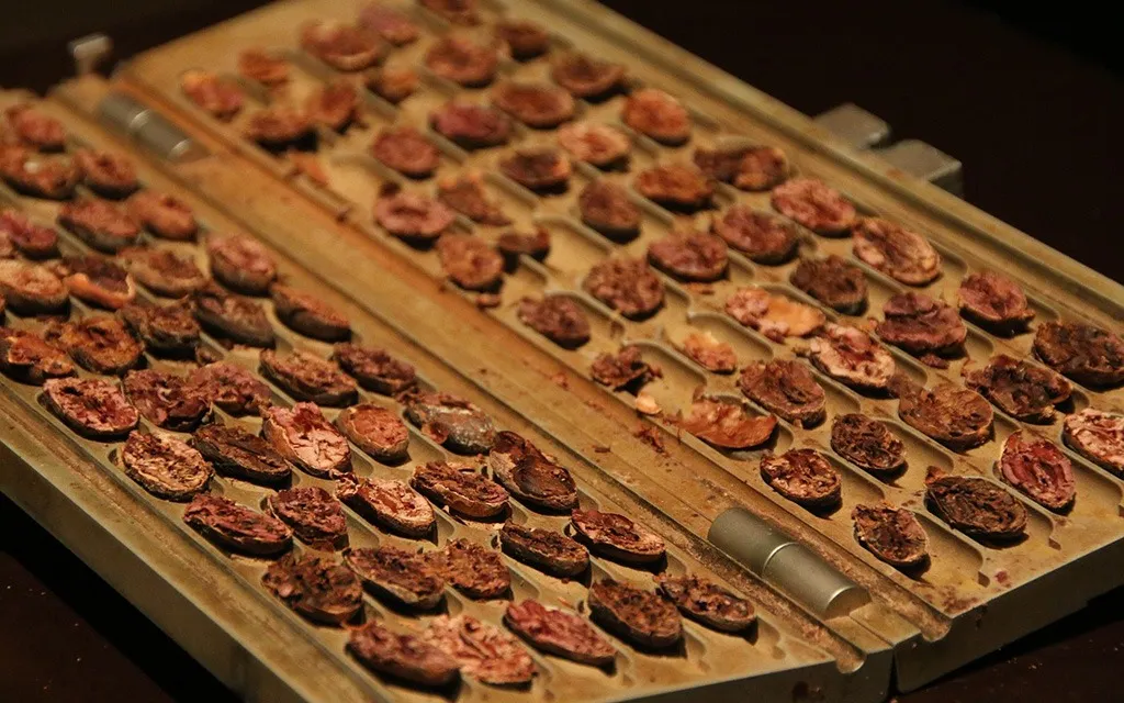 Cocoa Bean Roasting Can Preserve Chocolate Health Benefits AND Taste