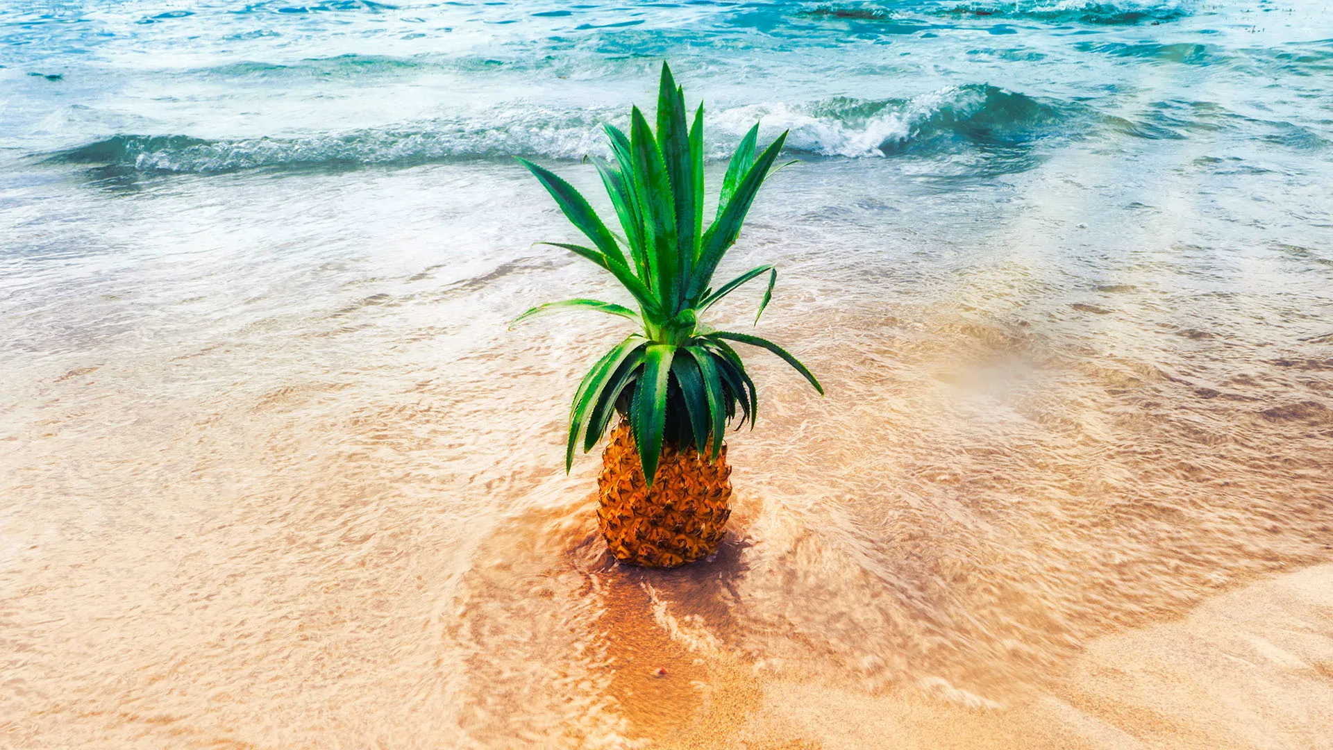 Big Island Chocolate Festival Now Rescheduled to 2021