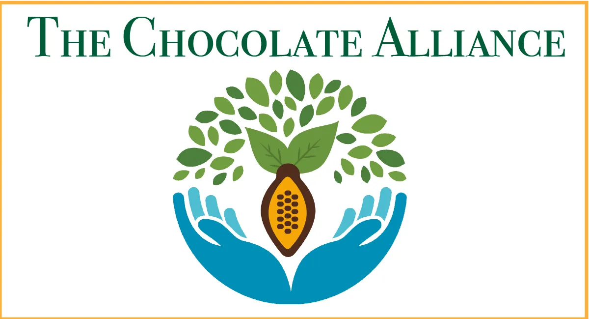 2020 World Chocolate Awards Open for Submissions