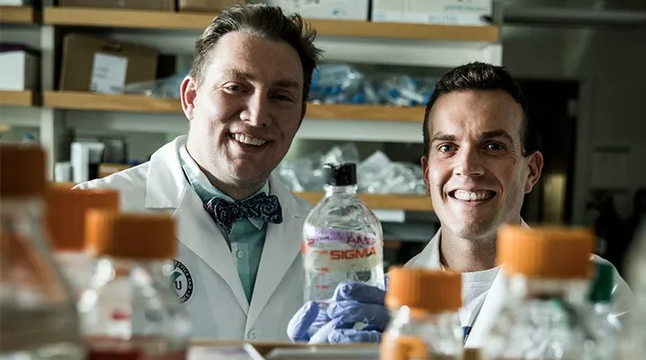 Compound found in cocoa helps cells release more insulin