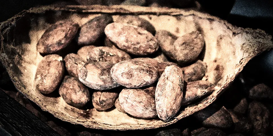 The Week in Cocoa and Chocolate - Aug 17-23 2019