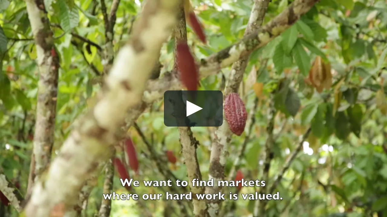 Ended - Peruvian Armonia Blend from Co-op ACCC