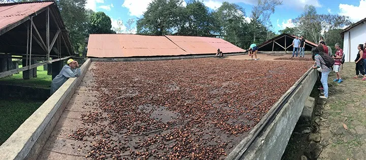 Cargill sets clear course for cocoa sustainability