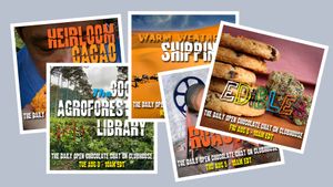 TheChocolateLife on Clubhouse - Week 20