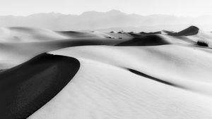 Denis Villeneuve’s Take on Frank Herbert’s Dune