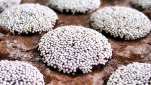 Automating Nonpareil Production