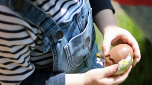 April 2025 Member Newsletter