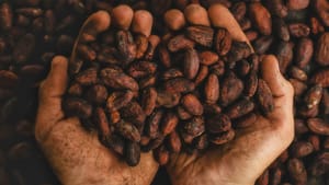 April 2025 Special Membership Offer