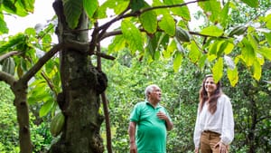 Cocoa Supply – Member Profile