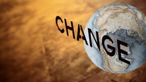 The Changing Landscape of Cocoa Sourcing: Part 3