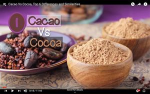 Cacao Vs Cocoa, Top 6 Differences and Similarities